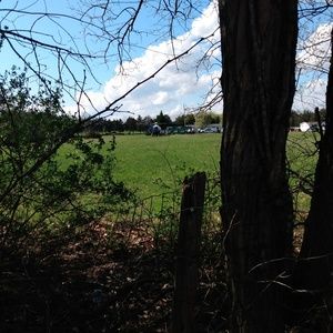 Meet your Posher, Sheila